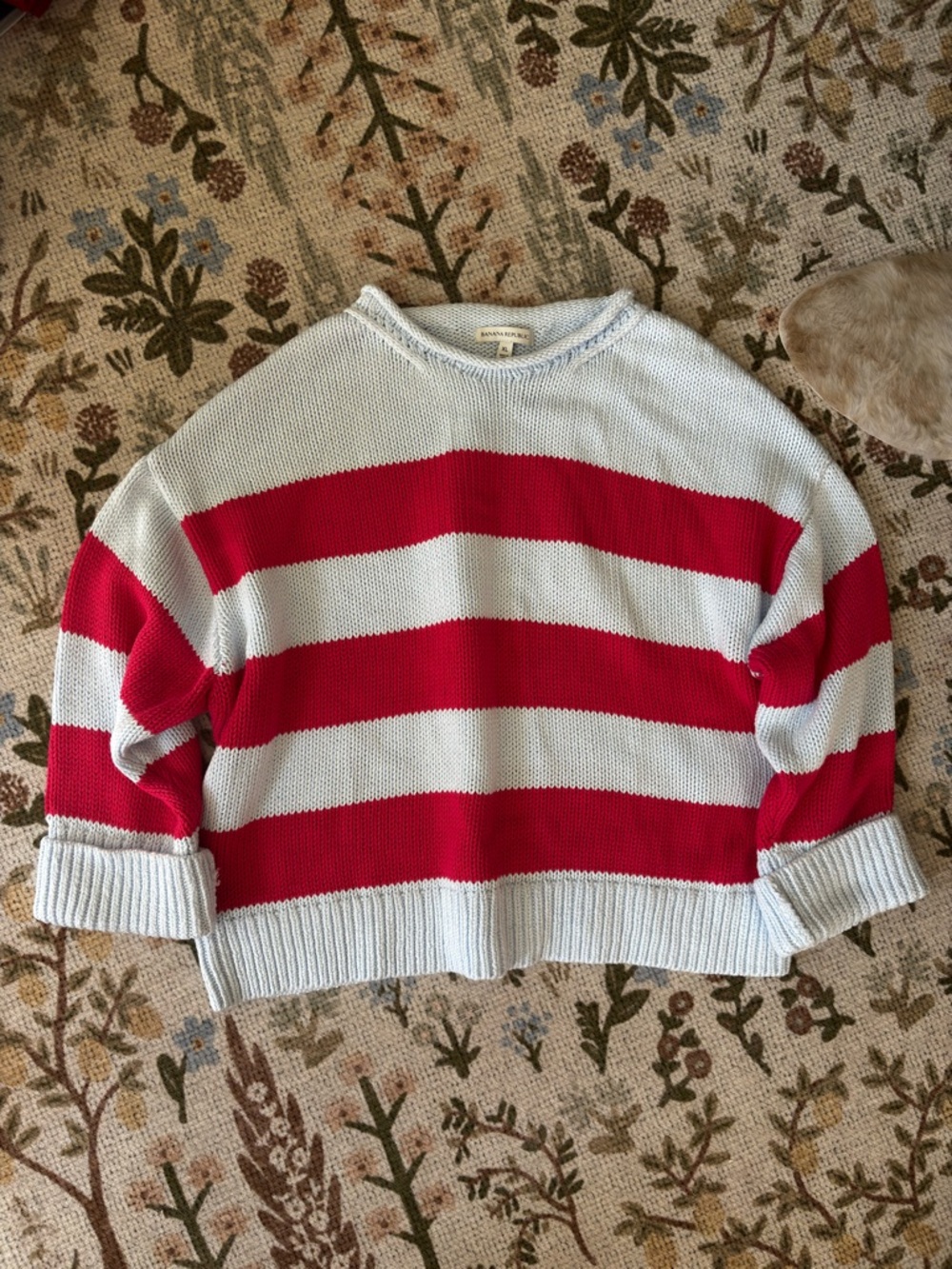 Banana Republic Light Blue and Red Striped Roll Neck Sweater